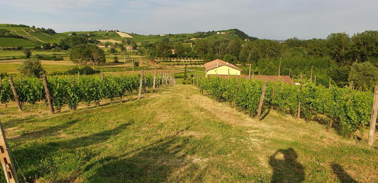 Villa Vigneto San Marzano Oliveto Exterior photo